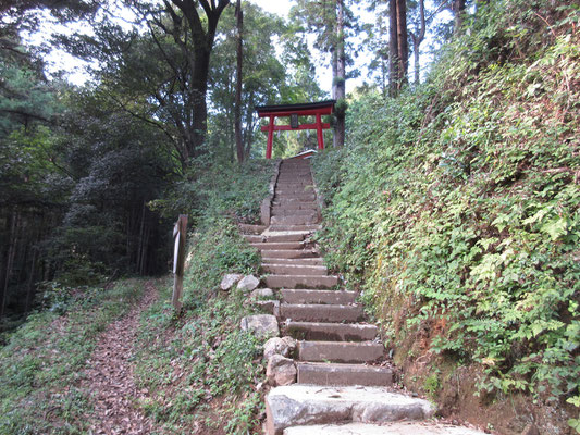 振り返ると鳥居も新しい