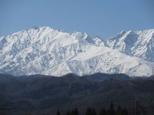 たっぷりと雪のついた八方尾根〜唐松岳・不帰キレット