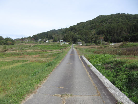 小川村の風景4　クラインガルテンから続く真っすぐの道
