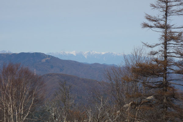 北アルプスもよく見える　白馬山方面の北ア北部はかなり白くなっている