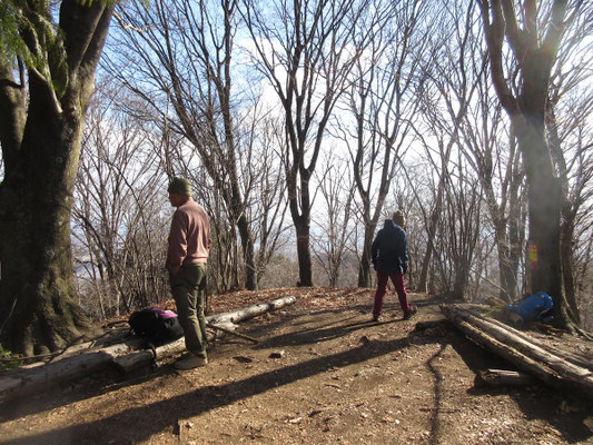 すっきりときれいになった山頂広場