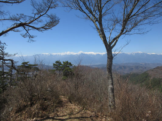 驚きの大展望