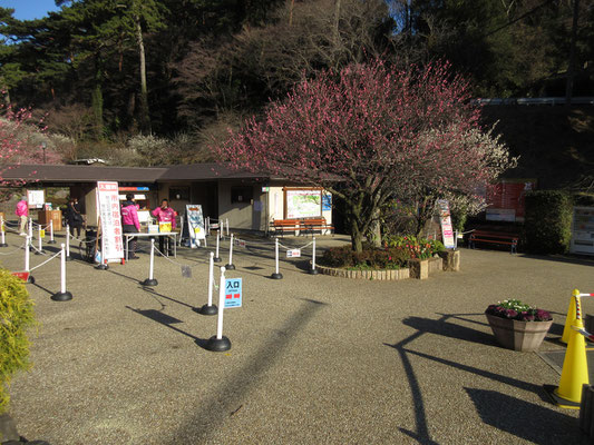 車道歩くこと15分ほどか　しかし熱海は海に山が迫っている地形なので、地図で見るのと違い実際はずっと登り坂となっている　やっと到着