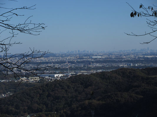 このベンチの場所からは都心方面がよく見える　副都心の高層ビル街と、スカイツリーもよく見ると見える