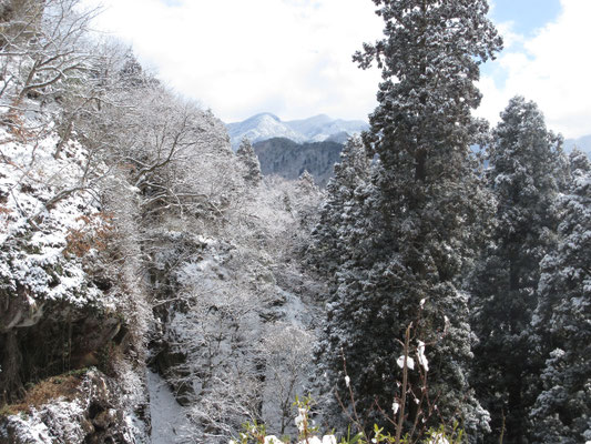 雪の日に来ることができてよかったと思う景色