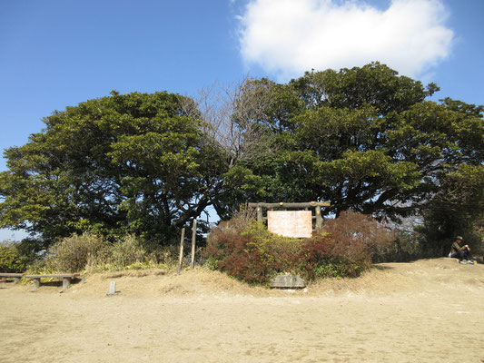 広々した山頂の標識一角は、幹が食われた右の木と、無事な左の木が風情を醸し出している