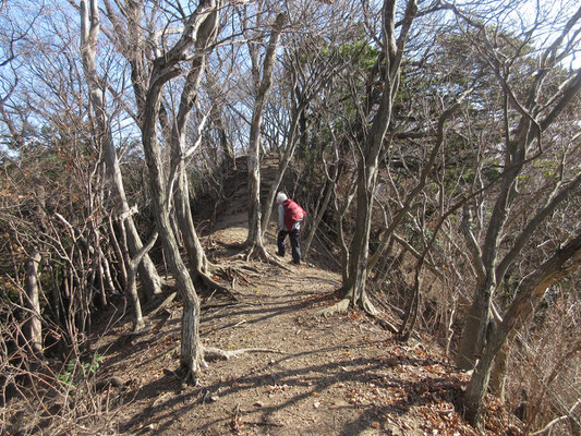 稜線まで辿り着き、高取山から発句石広場へ向かっているところ