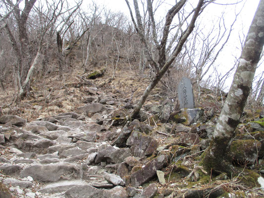 急登の岩ガラガラ