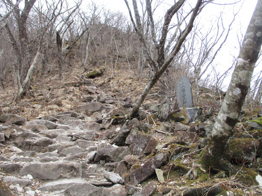 急登の岩ガラガラ