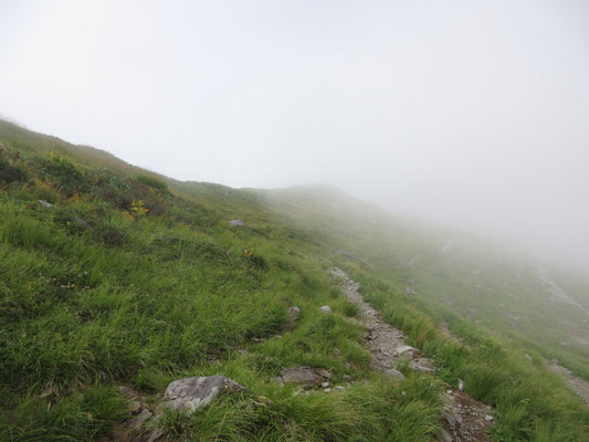 この登山道をちょっと登った所が〜