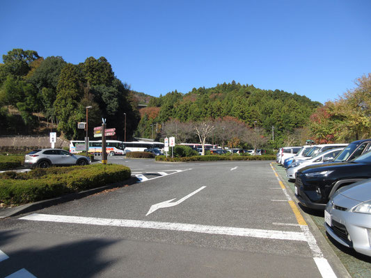 戻った駐車場には何台も大型バスが駐車し、乗用車もたくさん　週末や休日には満車であろう人気のあいかわ公園を後に、楽しい半日ハイキングでありました