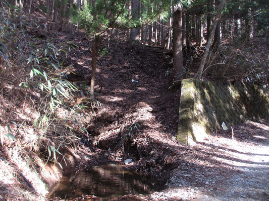 下山口　前回はここから登る筈だったのを、全然違うもっと手前の尾根に取り付いたらしい　気づいたら雑木ノ頭に飛び出していたのでした