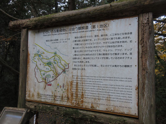 森の中の散策路となっているようで、各所にベンチなどがあるようだ　しかしこの大きな看板も相当古びている