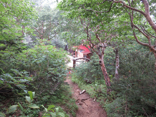 薬師小屋まで帰還　小屋番さんはヒマなのか、朝同様、何気に通りかかる登山者を待っていて色々と話しかけて来る　愚痴をこぼしているようだが、実は鋭い内容が含まれていてついつい聞き入ってしまった