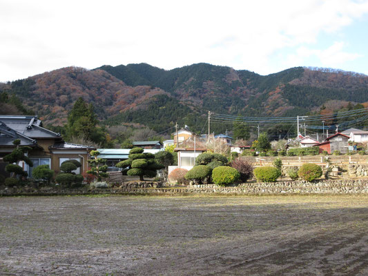 荻野集落の道を登山口まで歩く　この道程もそれぞれのお宅の手入れされた庭を眺めながらの楽しいアプローチ