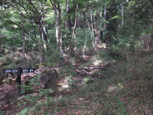 千条の滝からの分岐 当日は浅間山ではなく鷹ノ巣山に向かう