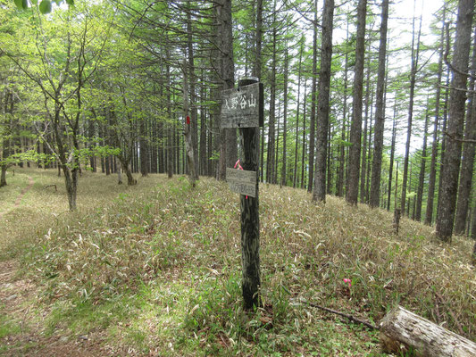 山頂に到着　けれど、ここから先がもっと素晴らしい