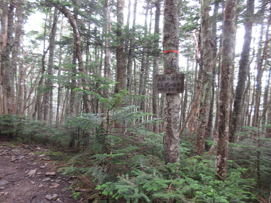 小粋な標識「お疲れ様です　あと15分頑張ると御室の美味しい湧水」　登山者の気持ちをよく分かっている上手い看板