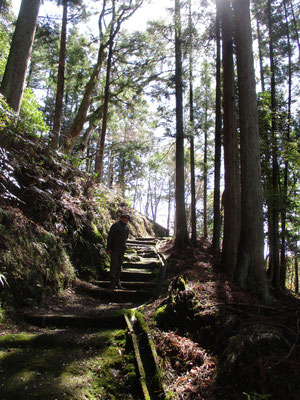 山歩き開始　始めは神社の裏手を行く　当日の山旅師匠はモスグリーンの上下で、周囲の雰囲気に溶け込むようにマッチしていた　本人曰く「苔男」…