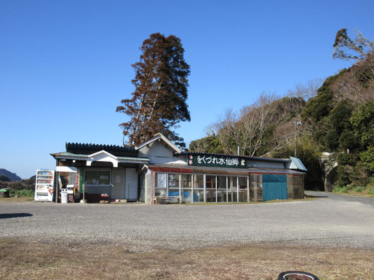 事前に下調べした駐車場所　水仙の盛りが去った今は誰も、車も居ない広場　が、トイレもあり、「管理人不在の場合、駐車料金300円は箱に入れてください」とのんびりしたもの