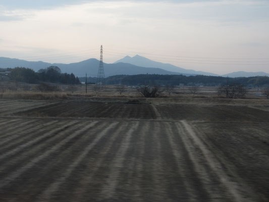 田んぼが拡がる向こうの筑波山