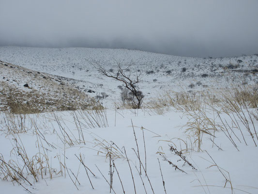 雪の霧ヶ峰4