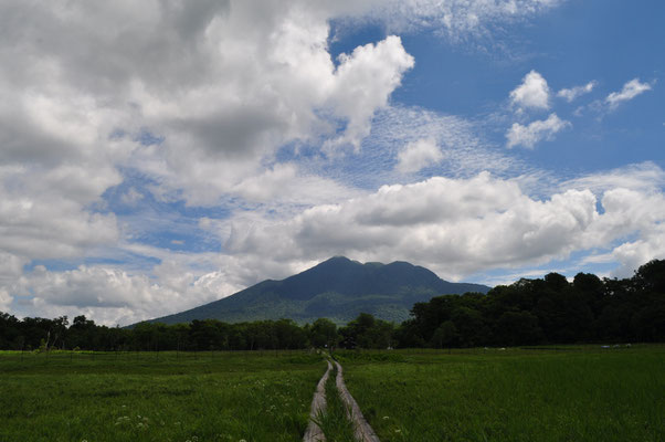 これぞ尾瀬！と言った、夏雲をバックにした燧ヶ岳