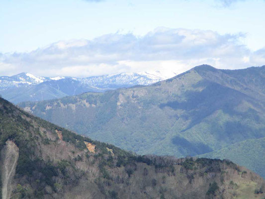 皇海山と日光方面の間に遠く真っ白な山並みが見えました。どうやら尾瀬の至仏山方面のようです