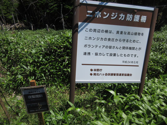 これらの植物が見られるのも、この柵があるからこそという訳か…