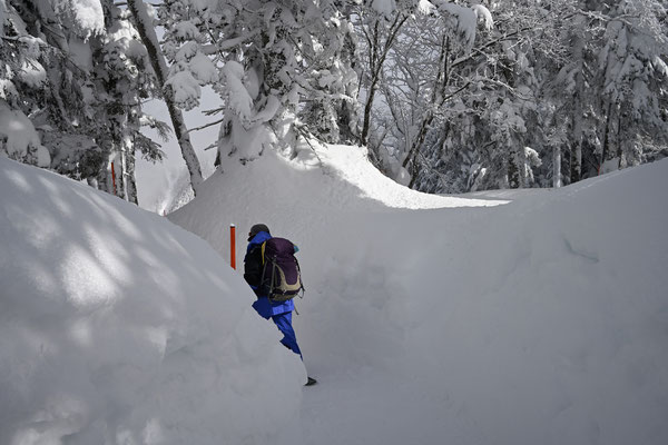 歩き始めるが、ものすごい雪の深さ　トレースがなければどうなることか…