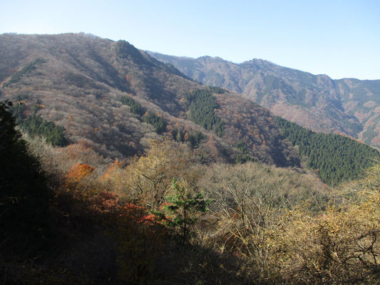 武甲山から大持山に連なる稜線（山頂手前の開けた場所から）