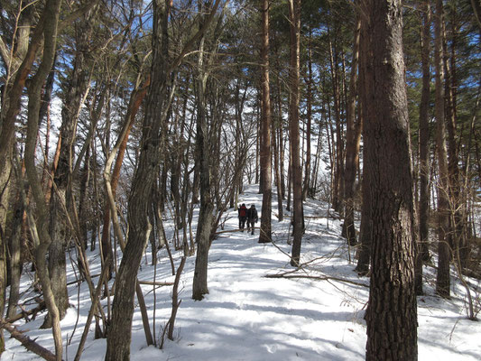 そこからは気持ちのいい山歩きが始まるような予感が…