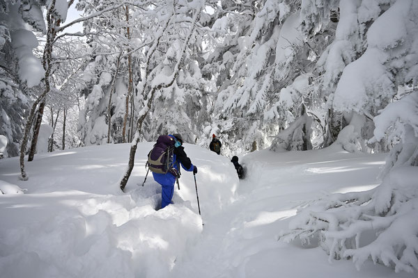 ふざけて脇の雪のなかを歩いてみるが、スノーシューでも膝がすっぽり潜るほど