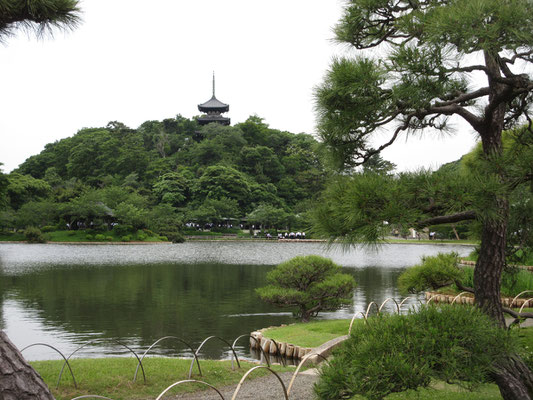 典型的な三渓園の眺め　展示の開館時間まで間があったので、グルリ庭園内を散策する