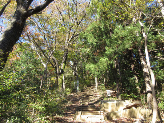 いい感じの山なのだが、登路がすべてこうして階段状に整備されてしまっている　足にはキツイ