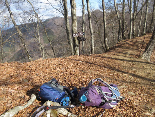 峠に到着　ここが分岐で右に行くと、三ッ峠山や中央本線から登る清八峠・大沢山の方に向かう　御坂山へは左を登っていく