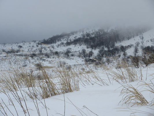 雪の霧ヶ峰5