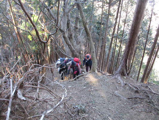 華厳山に向けて最後の急登　大気も冷たく風もあったので、登りと言えどもかなり身体は冷えてきています