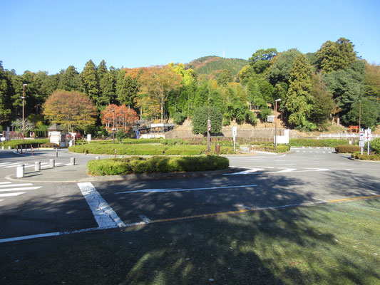 南部駐車場に朝、車を停める　まだ数台しか居らず閑散とした広場　奥に見える高みが南山