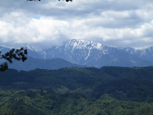 北アルプスの並び、北の方に目を移せば蓮華岳が見えた　下山途中だったが、しばし立ち止まり一気に描く