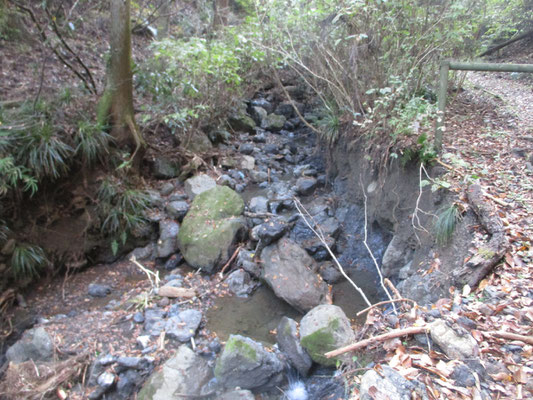 下の沢筋も相当荒れていた　本来の沢の形が変わるほど多くの水が出たらしく、沢がえぐられている