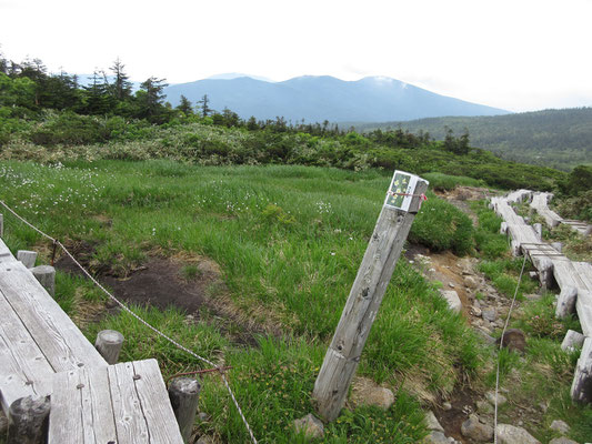 一登りして、ここが人形石とリフト乗り場に続くかもしか広場への分岐　帰りは直進してリフト乗り場へ