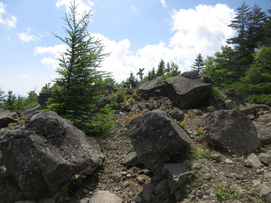 気分のいい樹林帯を抜けひと登りすると西岳山頂に到着