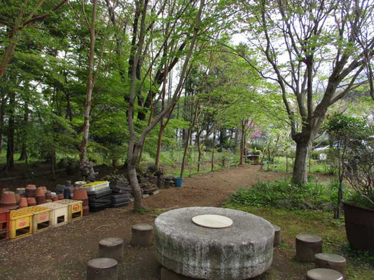 沓掛館山の春の情景　ここが夏には緑深くなり、涼しい緑風のなか「ヒオウギ花見会」が開催されます