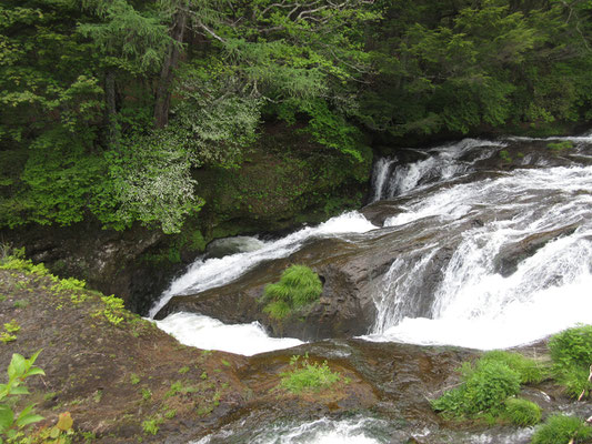 先日の雨後でスゴイ水量　ちょっと恐ろしいくらい