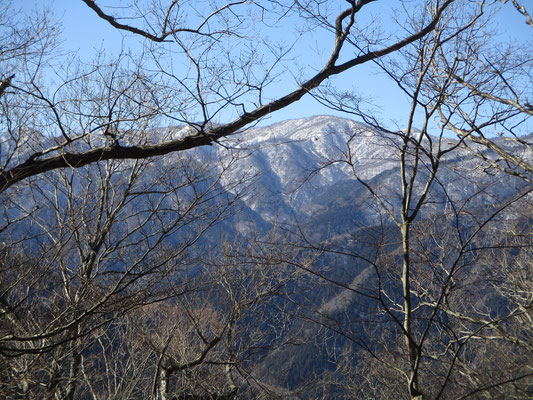 ここまで来ると、丹沢山がドーンと立派