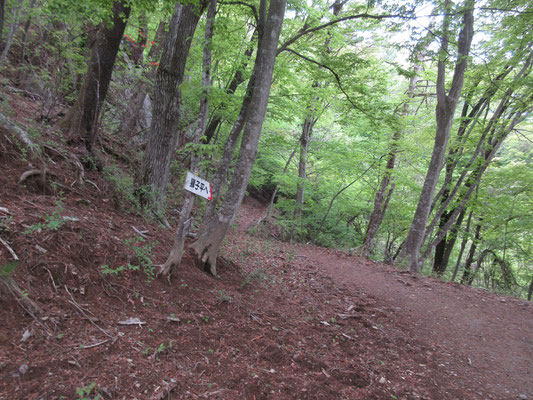 獅子平への分岐　ここから下っていく　下山道も現在の登山道と標高線に並行して残っている昔の山道を辿ったりする