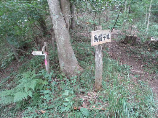 オケラを見つけながら登って行くと「烏帽子峰」への看板が出てきたのでそちらへ登ることに