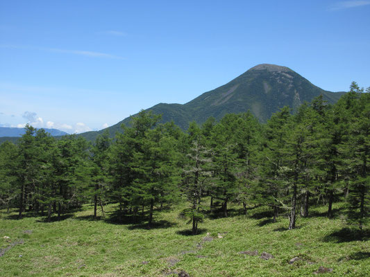 目を転じると蓼科山が近い