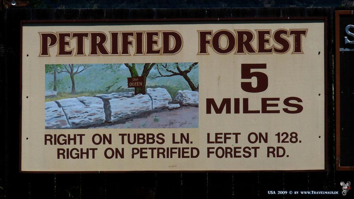 Petrified Forest (u.a. Museum) in California N 38° 33´20.2´´ W 122° 38´20.1´´